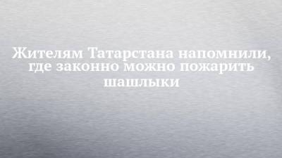 Жителям Татарстана напомнили, где законно можно пожарить шашлыки - chelny-izvest.ru - респ. Татарстан