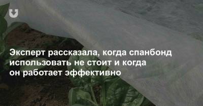 Эксперт рассказала, когда спанбонд использовать не стоит и когда он работает эффективно - news.tut.by