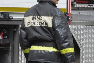 При пожаре в частном доме в Подмосковье пострадали трое детей и трое взрослых - argumenti.ru - Московская обл.