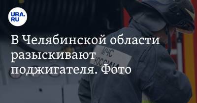 В Челябинской области разыскивают поджигателя. Фото - ura.news - Челябинская обл.