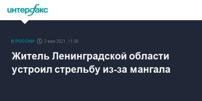 Житель Ленинградской области устроил стрельбу из-за мангала - interfax.ru - Москва - Ленинградская обл. - Санкт-Петербург