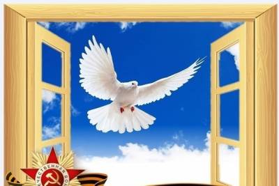 В Мурманской области проходит конкурс «Победа из моего окна» - murmansk.mk.ru - Мурманская обл. - Североморск