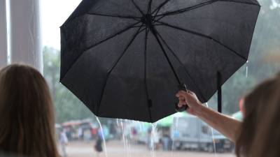 Евгений Тишковец - Ливень в Москве приведет к выпадению 44% от месячной нормы осадков - nation-news.ru - Москва - Московская обл.