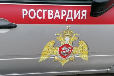 3 мая в Туле безопасность футбольного матча обеспечат росгвардейцы - tula.mk.ru - Тула - Тульская обл.