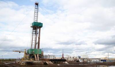 Экспорт нефти упал за год более чем на 20% - newizv.ru