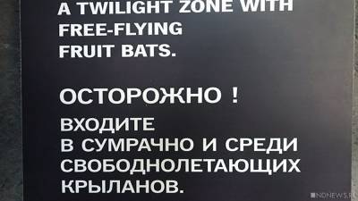 Владимир Мякуш - Самые крутые слухи недели: мякушки и текслеки - newdaynews.ru