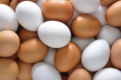 На рынке или в магазине: где лучше покупать яйца - from-ua.com