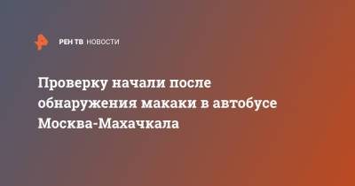 Проверку начали после обнаружения макаки в автобусе Москва-Махачкала - ren.tv - Москва - Махачкала - Волгоградская обл.