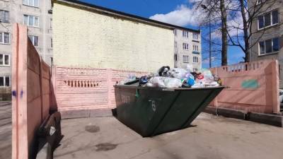 Владислава Грин - Жители России получат двойной штраф за выброс мусора в неположенном месте - nation-news.ru