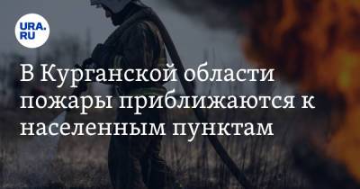 В Курганской области пожары угрожают населенным пунктам. Видео - ura.news - Тюмень - Курганская обл.