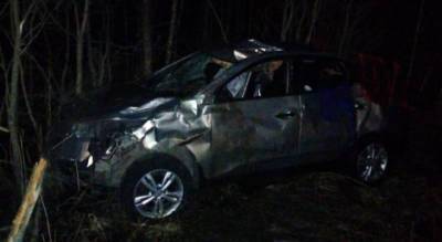 Чудовище выскочило на дорогу: водитель чудом выжил в странном ДТП в Рыбинске - progorod76.ru - Ярославская обл. - Рыбинск - район Рыбинский