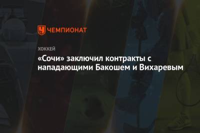 «Сочи» заключил контракты с нападающими Бакошем и Вихаревым - championat.com - Москва - Сочи - Швеция