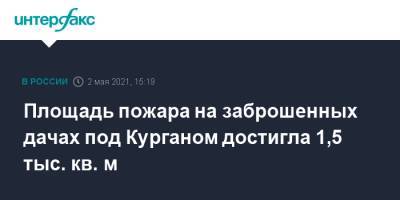 Площадь пожара на заброшенных дачах под Курганом достигла 1,5 тыс. кв. м - interfax.ru - Москва - Курганская обл. - Курган