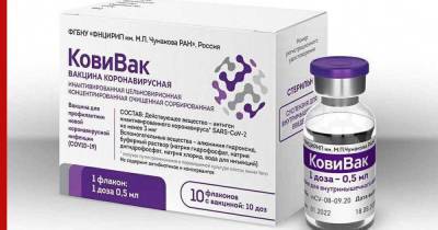 Айдар Ишмухаметов - Сроки сохранения иммунитета после вакцины "КовиВак" назвали в Центре Чумакова - profile.ru