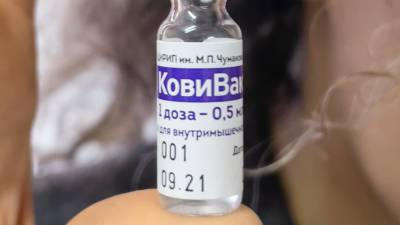 Айдар Ишмухаметов - Центр Чумакова планирует до конца года выпустить минимум 7,5 млн доз вакцины «КовиВак» - mir24.tv