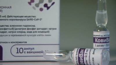 Айдар Ишмухаметов - Вакцина "КовиВак" обеспечит защитой от коронавируса на восемь месяцев - inforeactor.ru