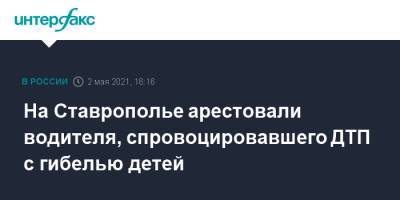 На Ставрополье арестовали водителя, спровоцировавшего ДТП с гибелью детей - interfax.ru - Москва - Волгоград - Волгоградская обл. - Ставрополье