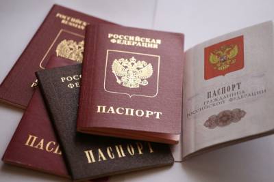 Стало известно, сколько жителей ЛДНР получили российское гражданство - news-front.info - Россия - Луганская обл. - ДНР - ЛНР - Донбасс - Донецкая обл.