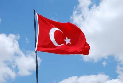 В Турции задержан главный деятель ИГИЛ и мира - cursorinfo.co.il - Сирия - Турция - Афганистан - Стамбул - провинция Идлиб