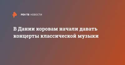 В Дании коровам начали давать концерты классической музыки - ren.tv - Дания