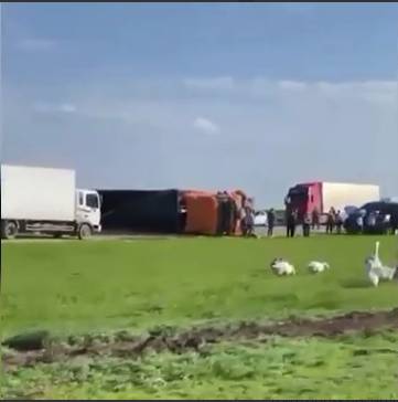 Вероятный виновник ДТП в Ставропольском крае взят под стражу – Учительская газета - ug.ru - Москва - Ставрополье - Ставрополь