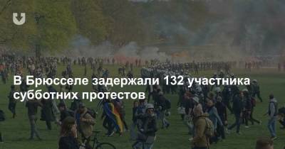 В Брюсселе задержали 132 участника субботних протестов - news.tut.by - Брюссель