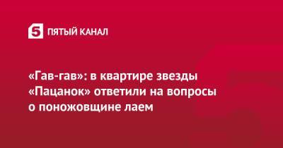 Ксения Милас - «Гав-гав»: в квартире звезды «Пацанок» ответили на вопросы о поножовщине лаем - 5-tv.ru