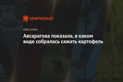 Авсарагова показала, в каком виде собралась сажать картофель - championat.com - респ. Алания