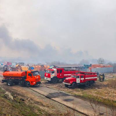 Власти Кургана заплатят сообщившим данные виновников лесных пожарах - radiomayak.ru - Курганская обл.