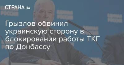 Борис Грызлов - Грызлов обвинил украинскую сторону в блокировании работы ТКГ по Донбассу - strana.ua - Украина - Киев - Донбасс