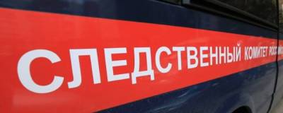 СК в Новосибирске проверяет инцидент, в котором мужчина «наказал» мальчика, поставив его на колени - runews24.ru - Новосибирск - Новосибирская обл.