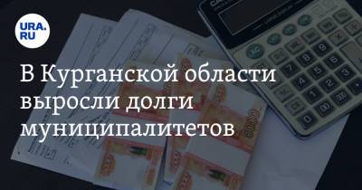 В Курганской области выросли долги муниципалитетов - ura.news - Курганская обл. - Шадринск