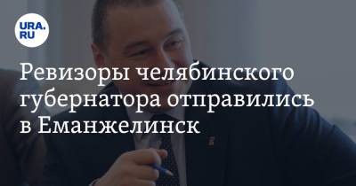 Ревизоры челябинского губернатора отправились в Еманжелинск - ura.news - Челябинская обл. - Челябинск - Еманжелинск