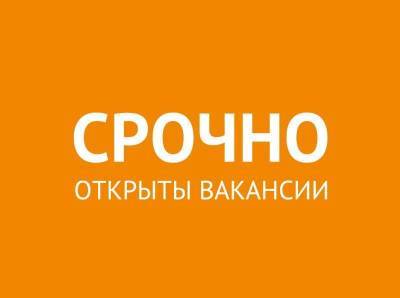 В мае не маемся, а зарабатываем! Где ульяновцам трудоустроиться в конце весны-2021 - ulpravda.ru - Ульяновск - Ульяновская