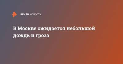 Евгений Тишковец - В Москве ожидается небольшой дождь и гроза - ren.tv - Москва - Московская обл.