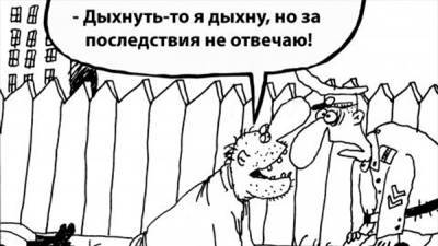 Николай Чаус - Сам себя похитил? Чем опасно дело Чауса для Зеленского - bin.ua - Молдавия