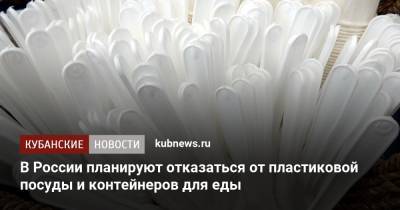 В России планируют отказаться от пластиковой посуды и контейнеров для еды - kubnews.ru - Россия - Экология