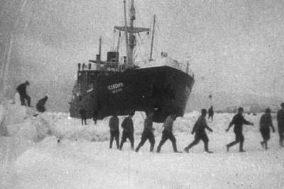 В Заполярье на Неделе полярного кино покажут архивные ленты - murmansk.mk.ru - Мурманская обл.