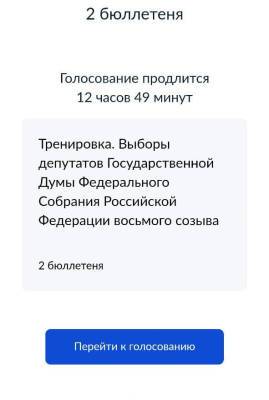 Корреспондент Sakh.com понарошку проголосовал на выборах в Госдуму - sakhalin.info - Москва