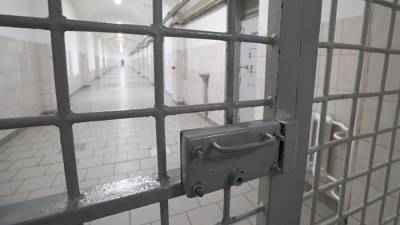 Александр Калашников - Глава ФСИН рассказал об открытии новых СИЗО в Крыму - iz.ru - Крым - Красноярск