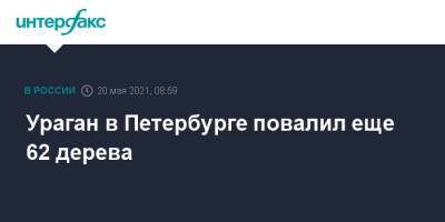 Ураган в Петербурге повалил еще 62 дерева - interfax.ru - Москва - Санкт-Петербург - Петербург