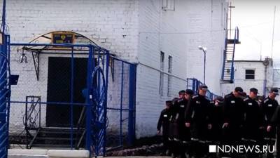 Владимир Путин - Александр Калашников - В России хотят заменить трудовых мигрантов заключенными - newdaynews.ru - Узбекистан - Таджикистан