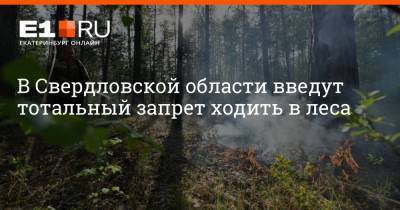 Алексей Кузнецов - Артем Устюжанин - В Свердловской области введут тотальный запрет ходить в леса - e1.ru - Екатеринбург - Свердловская обл.