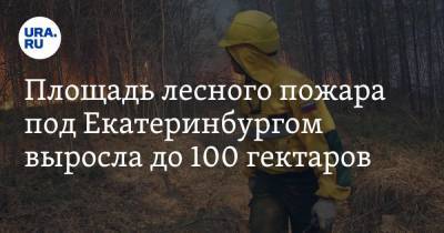 Площадь лесного пожара под Екатеринбургом выросла до 100 гектаров - ura.news - Екатеринбург - Свердловская обл.