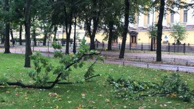 Один человек пострадал во время непогоды в Петербурге - polit.info - Санкт-Петербург