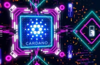 Число Cardano-миллионеров выросло в 13 раз - minfin.com.ua