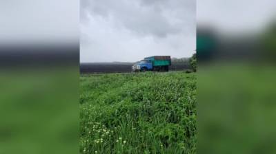 При выгрузке зерна в поле в Воронежской области грузовик раздавил рабочего - vestivrn.ru - Воронежская обл.