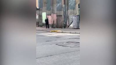 Автослесарь из Петербурга стал звездой Интернета благодаря ворону и кошке - piter.tv - Санкт-Петербург