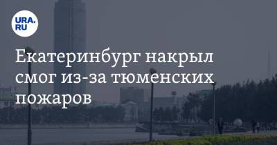 Галина Шепоренко - Екатеринбург накрыл смог из-за тюменских пожаров - ura.news - Екатеринбург - Тюменская обл.
