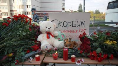 Соцсети удалили более 300 деструктивных ссылок о стрельбе в Казани - iz.ru - Казань